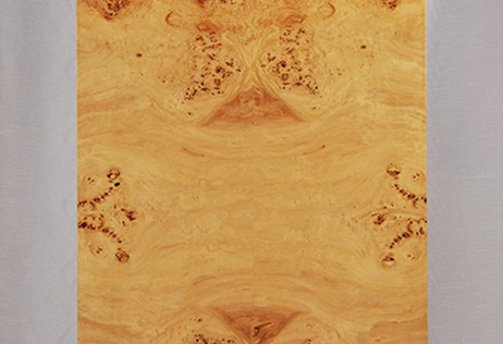 Interior Flush Doors